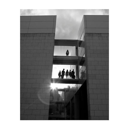 Collection image for: Varios