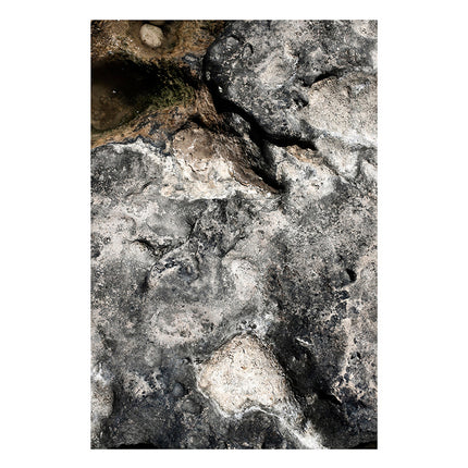 Collection image for: Abstracciones