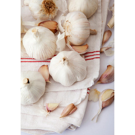 Collection image for: Cocina