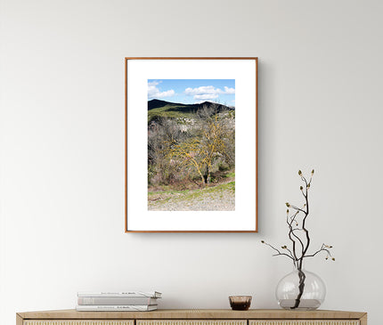 10 Paisaje multicolor con árbol amarillo