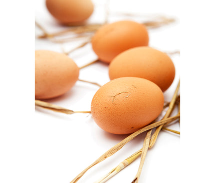 Fotos de huevos en estudio
