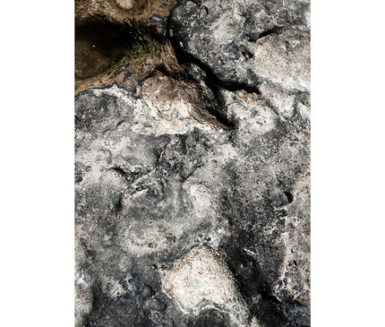 Abstracción de una roca de playa