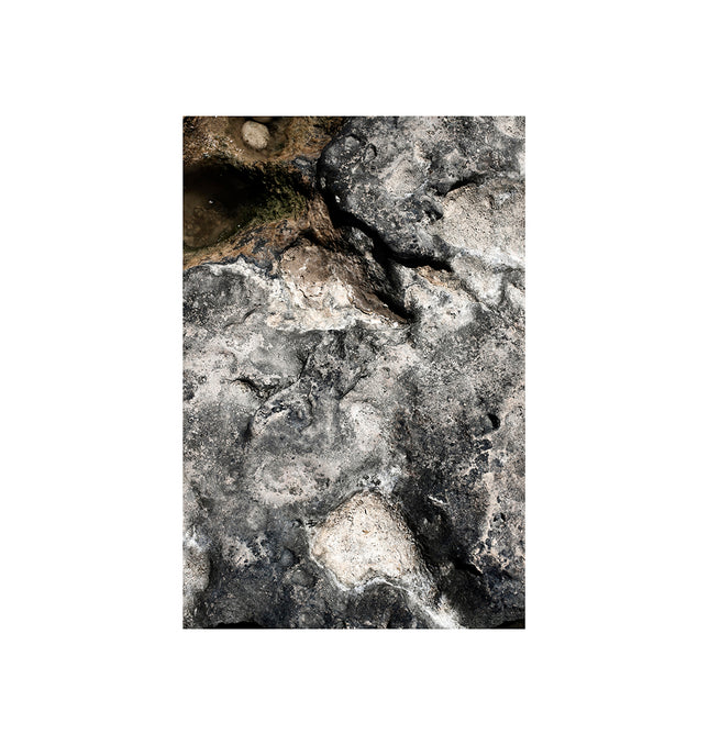 Abstracción de una roca de playa