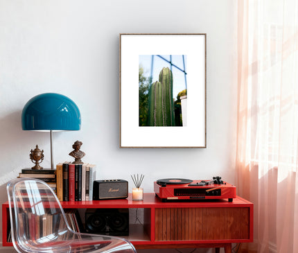 02 Cactus