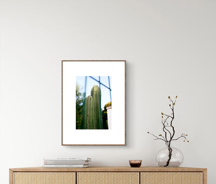 02 Cactus